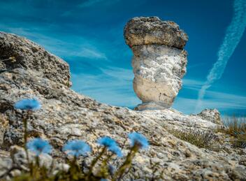 Les Mourres de Forcalquier